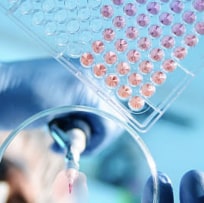 A Scientist Holding A Test Tube Focused On Their Experiment — Bespoke in Southport, QLD